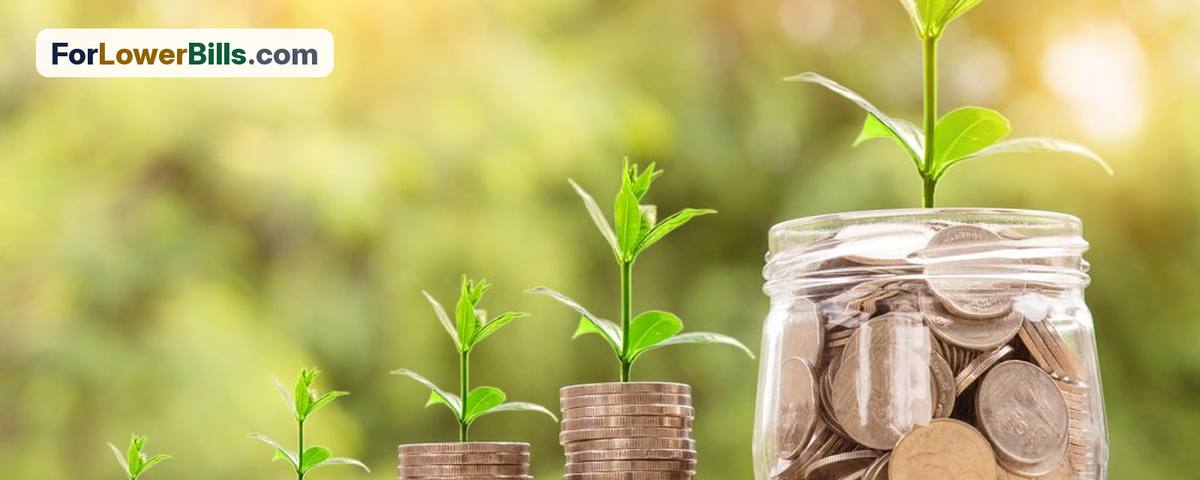 Coins in glass jars with a small seedling sprouting